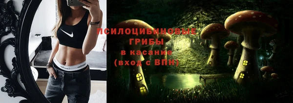 МДПВ Магас