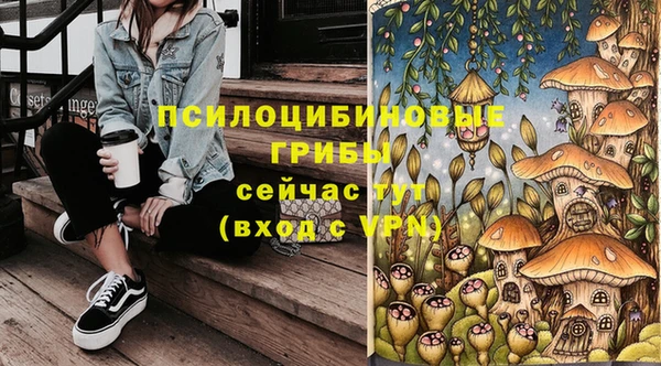 ALPHA PVP Майский