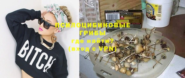 МДПВ Магас